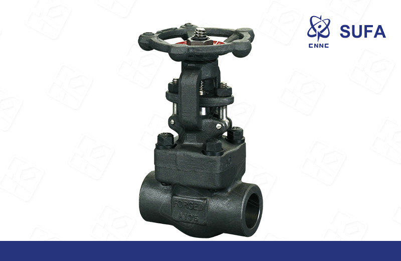 锻钢内螺纹、承插焊闸阀