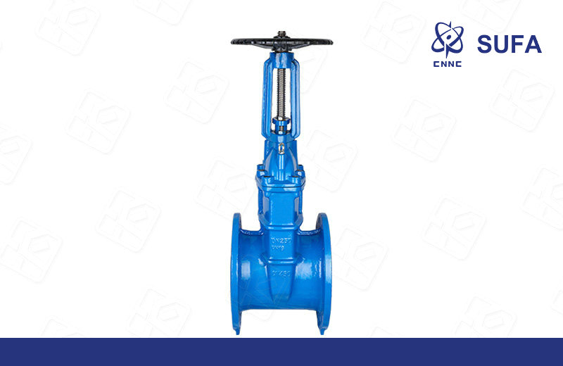 明杆弹性座封闸阀