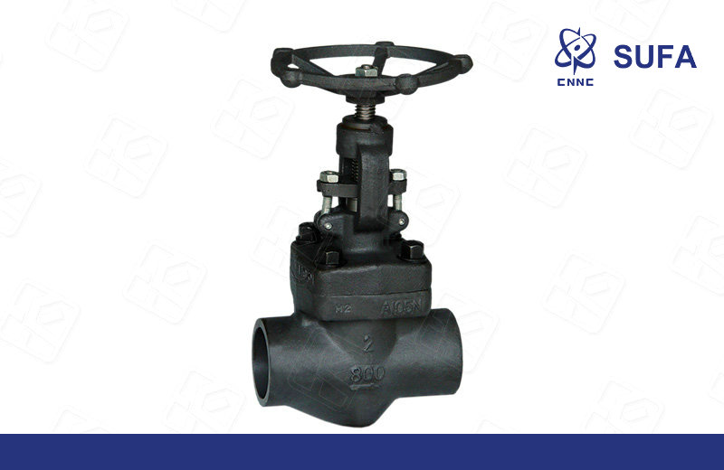 锻钢内螺纹、承插焊接截止阀