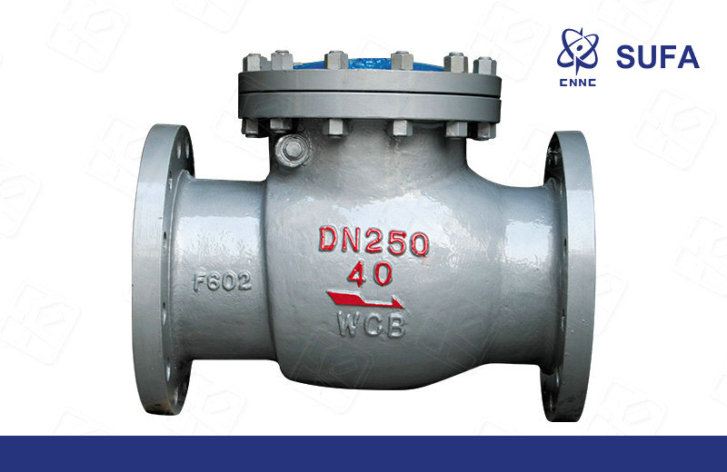 国标旋启式止回阀