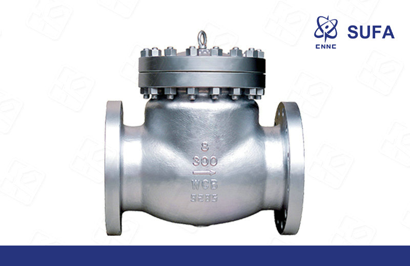 美标旋启式止回阀