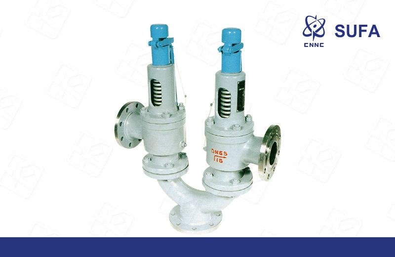 双联弹簧式安全阀