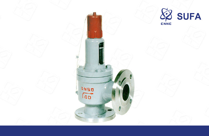 波纹管平衡式安全阀